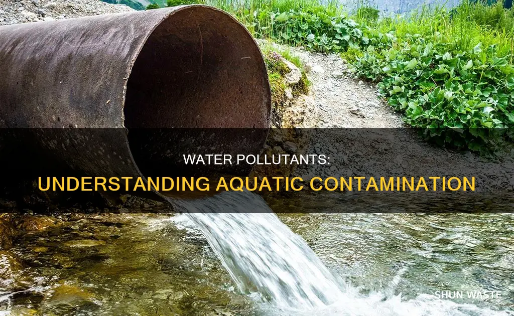 what are water pollutant