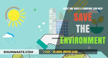 Sustainable Business Practices: How Companies Can Protect Our Planet