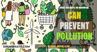 Empowering Change: Simple Steps to Fight Pollution