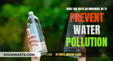 Protecting Our Waters: Simple Steps to Prevent Water Pollution