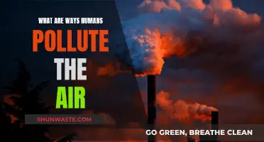 Human Activities Polluting Our Air