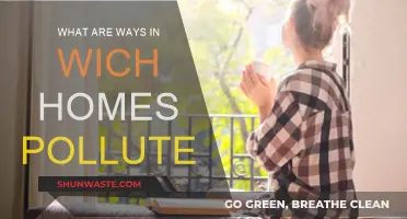 Household Pollution: Simple Ways to Reduce Your Impact