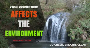 Mount Talbert's Ecological Impact: Exploring Its Environmental Influence and Benefits