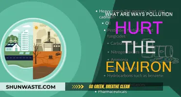 Pollution's Harmful Impact on Our Environment