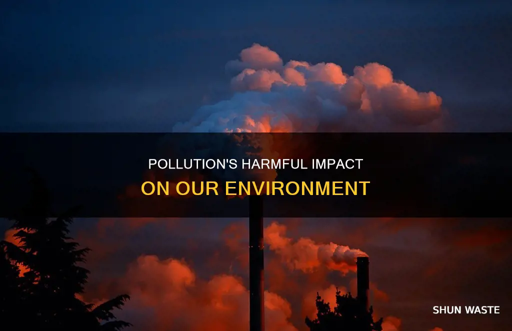 what are ways pollution hurt the environment