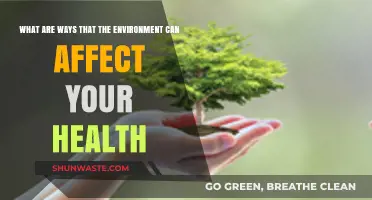 Environmental Factors: How Nature Impacts Your Health and Well-being