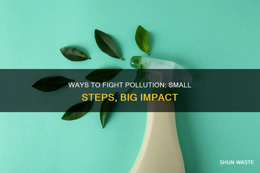 what are ways the we can help improve pollution