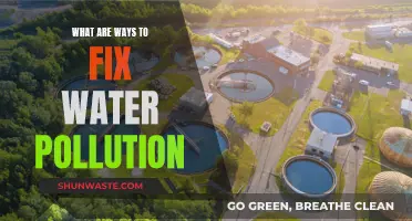 Ways to Reverse Water Pollution: Solutions for a Healthy Planet