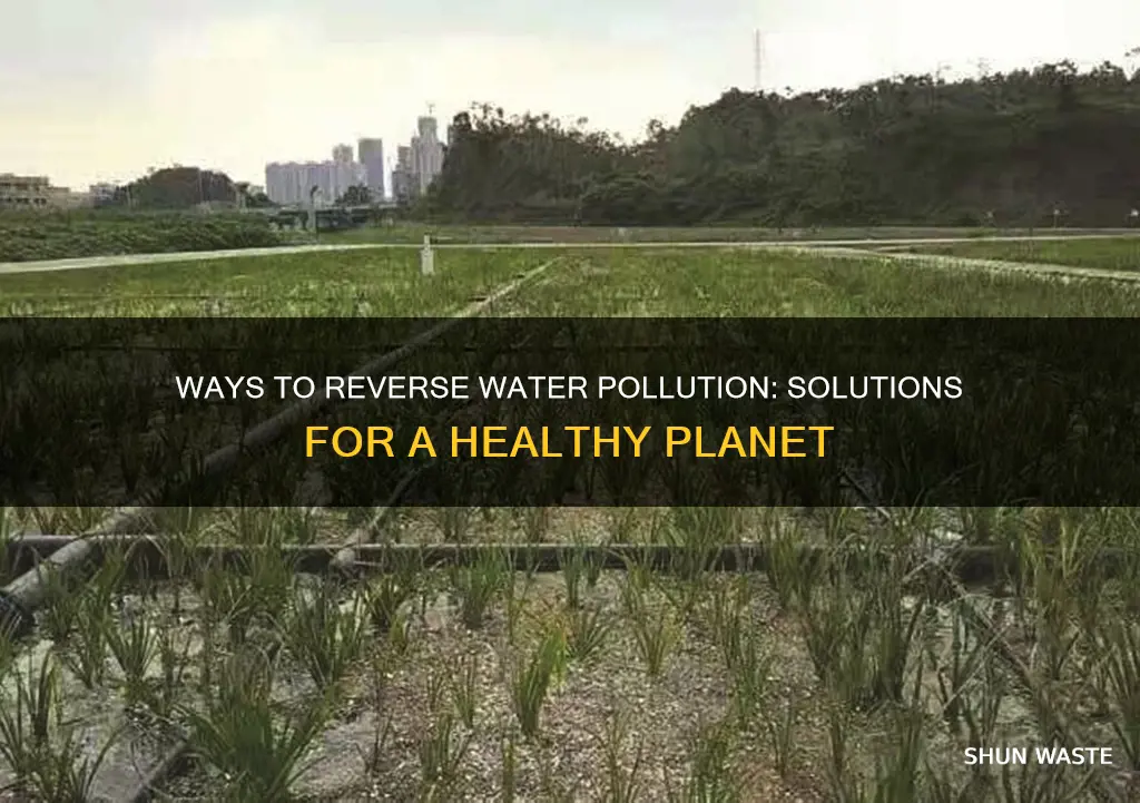 what are ways to fix water pollution