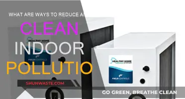 Strategies for Reducing Indoor Air Pollution at Home