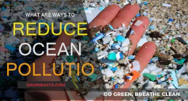 Ocean Conservation: Reducing Pollution for a Healthier Future