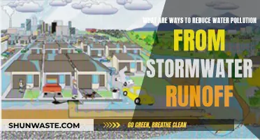 Stormwater Runoff: Strategies to Reduce Water Pollution