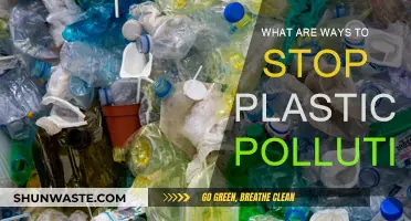 Combating Plastic Pollution: Strategies for a Sustainable Future
