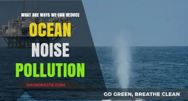 Ocean Silence: Strategies to Mitigate Underwater Noise Pollution