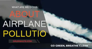 Addressing Airplane Pollution: What's the Plan?