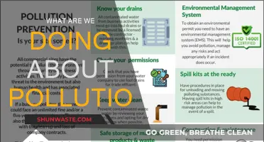 Combating Pollution: Our Current Strategies and Future Plans