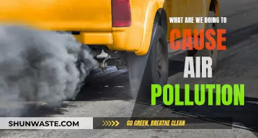 Unveiling the Human Impact: Causes of Air Pollution