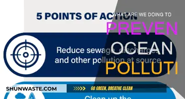 Our Ocean's Future: Preventing Pollution and Protecting Marine Life