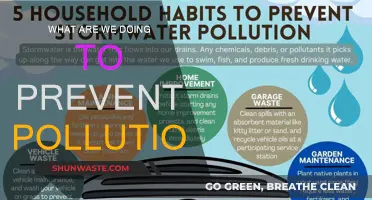 Preventing Pollution: Our Current Strategies and Future Plans