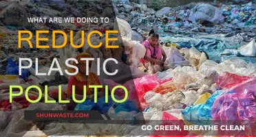 Reducing Plastic Pollution: Our Current Efforts and Initiatives