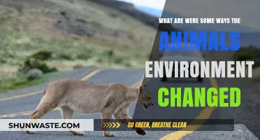 How Animals' Habitats Transformed: Key Environmental Shifts Explained