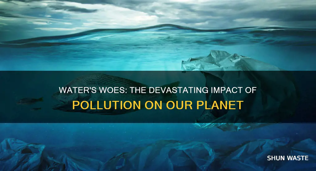 what are what things are most affected by water pollution