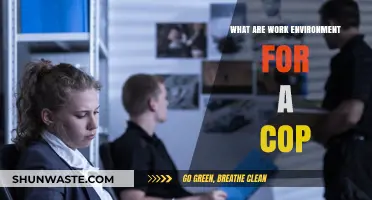Exploring the Demanding and Diverse Work Environments of Police Officers