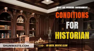 Exploring the Ideal Working Environment Conditions for Historians