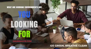 Ideal Working Environments: What Professionals Seek in Today’s Job Market