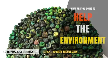 Sustainable Steps: How You Can Actively Protect Our Planet Today