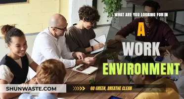 Crafting Your Ideal Workplace: Key Factors for a Fulfilling Work Environment
