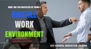Legal Safeguards Against Hostile Work Environments: Know Your Rights