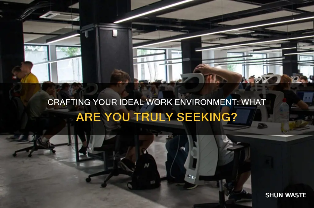 what are you seeking in your work environment answered