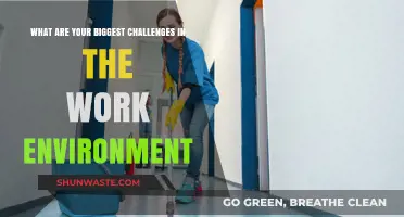 Navigating Workplace Hurdles: Overcoming Common Challenges in the Work Environment
