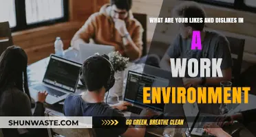 Fostering Productivity: Understanding Work Environment Likes and Dislikes