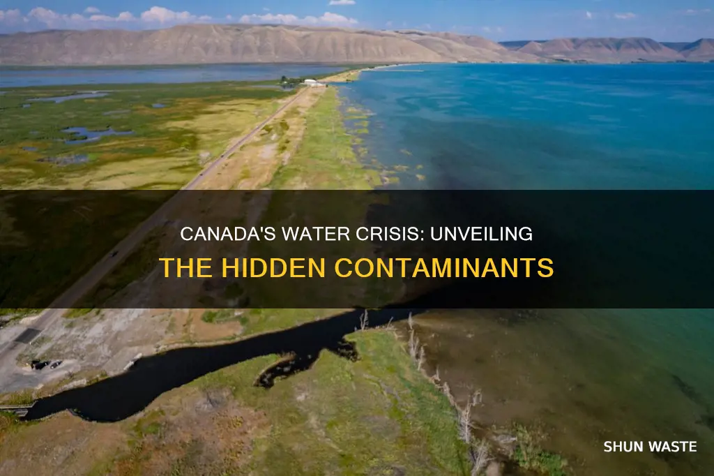 what area in canada is facing a water pollution crisis