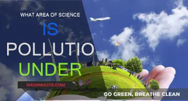 Understanding Pollution: An Environmental Science Perspective