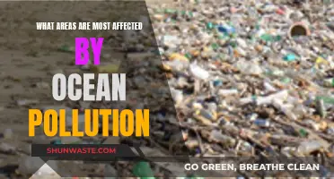 Ocean Pollution's Most Vulnerable Victims: Our Planet's Affected Areas