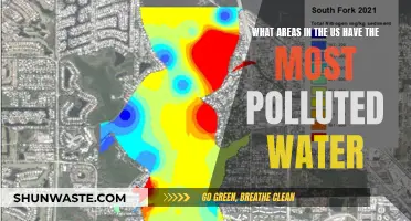 Unveiling America's Water Crisis: The Most Polluted Regions Revealed