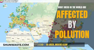 Pollution's Global Reach: Regions Feeling the Impact