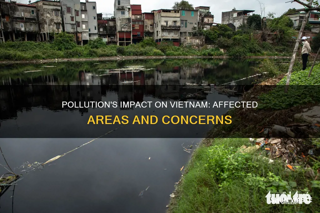 what areas of vietnam are affected by pollution