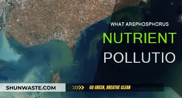 Phosphorus Pollution: Nutrient's Impact on the Environment