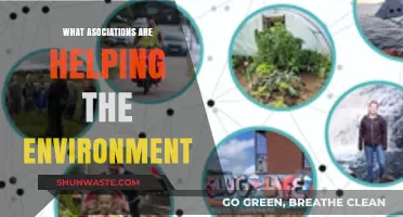 Environmental Champions: Key Associations Leading the Fight for a Greener Planet