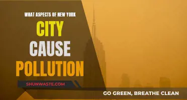 Unveiling NYC's Pollution: From Traffic to Waste, the Hidden Sources