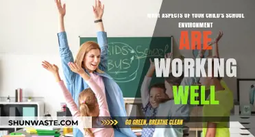 Positive School Factors: What’s Working Well for Your Child?