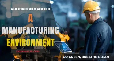 Why Manufacturing Appeals: Exploring the Allure of Factory Work