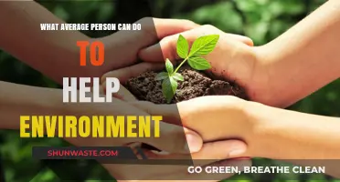 Simple Eco-Friendly Actions: How Everyday People Can Protect Our Planet