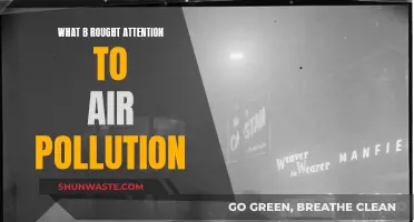 Air Pollution: A Global Concern Brought to Light