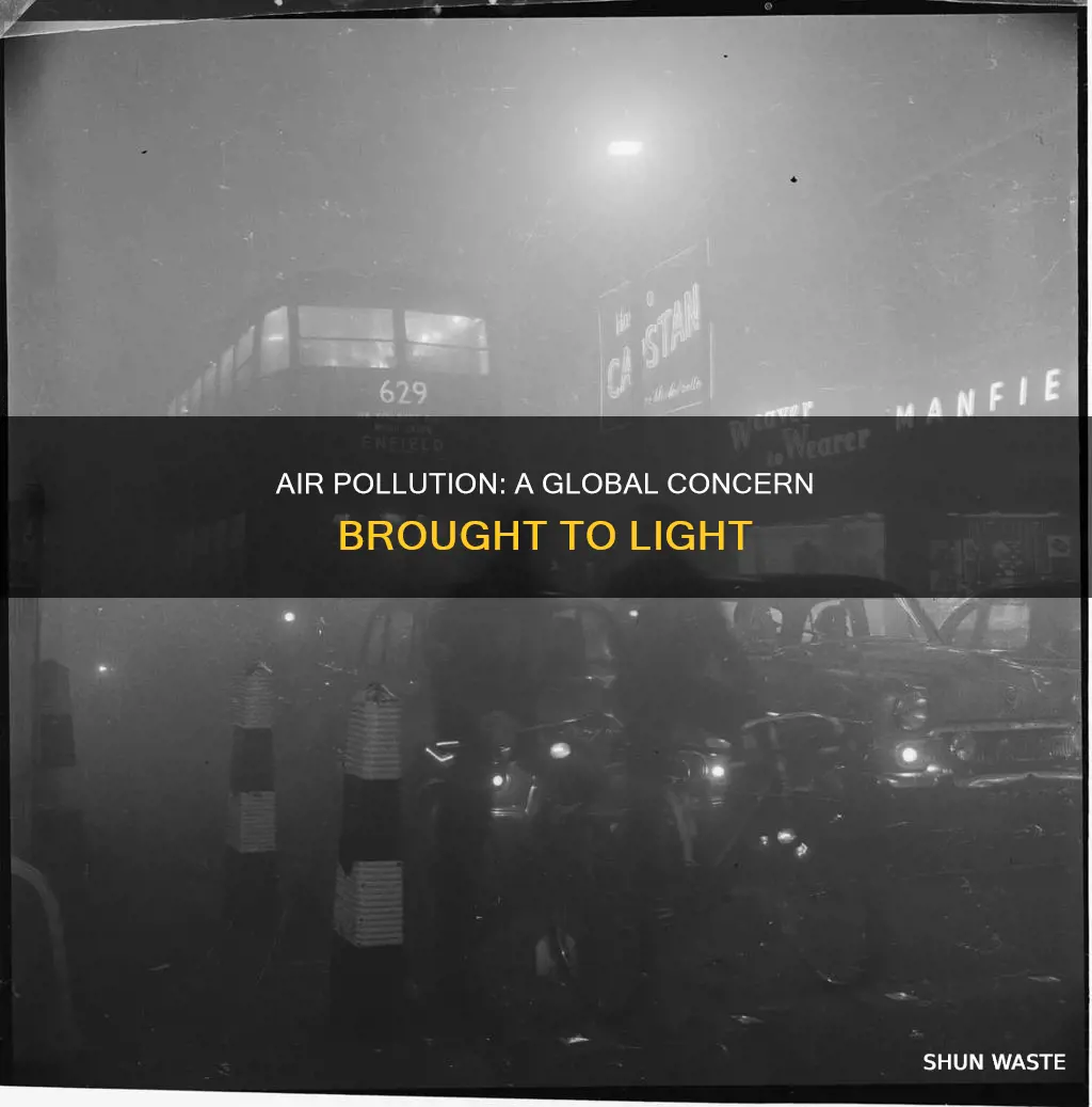 what b rought attention to air pollution