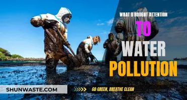 Unveiling the Causes: Why Water Pollution Demands Urgent Action